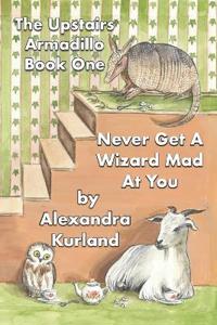 Never Get A Wizard Mad At You