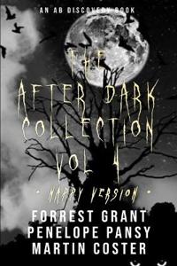 The After Dark Collection Vol 4 (Nappy Version)