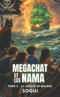 Mégachat et les NAMA