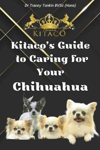 Kitaco's Guide to Caring for Your Chihuahua