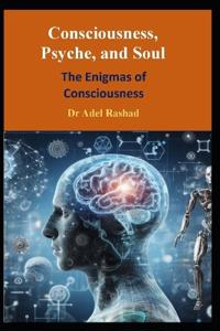 Consciousness, Psyche, and Soul