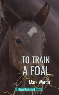 To Train A Foal
