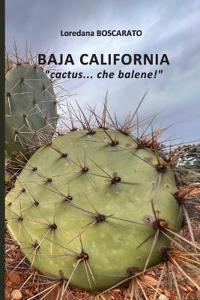 BAJA CALIFORNIA, cactus... che balene!