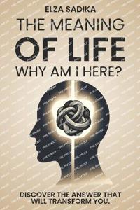 The Meaning of Life. Why Am I Here?