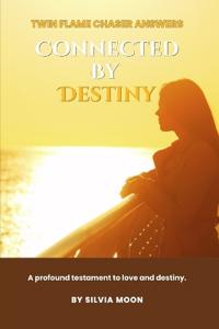 Answers to Twin Flame Chaser Questions
