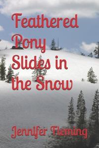 Feathered Pony Slides in the Snow
