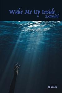 Wake Me Up Inside (Extended Version)