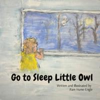 Go To Sleep Little Owl