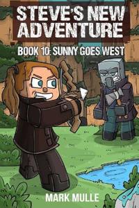 Steve's New Adventure Book 10