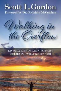 Bokomslag för "Walking in the Overflow"