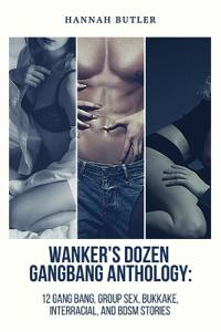 Wanker's Dozen Gang Bang Anthology