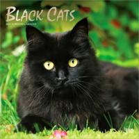 Black Cats - Schwarze Katzen 2027 - 16-Monatskalender