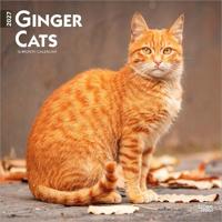 Ginger Cats - Gingerkatzen - Rote Katzen 2027 - 16-Monatskalender