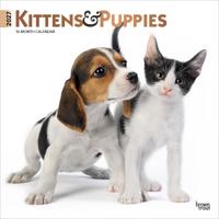 Kittens & Puppies 2027 12 X 24 Inch (Hanging) Monthly Square Wall Calendar Foil Stamped Cover Plastic-Free