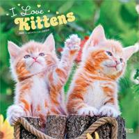 I Love Kittens - Ich liebe Katzenbabys 2027 - 16-Monatskalender