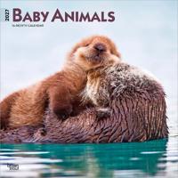 Baby Animals - Tierbabys - Tierkinder 2027 - 16-Monatskalender