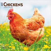 Chickens - Hühner 2027 - 16-Monatskalender