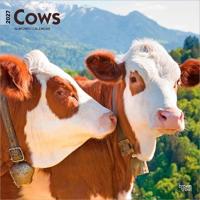 Cows - Kühe 2027 - 16-Monatskalender