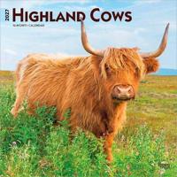 Highland Cows - Hochlandrinder 2027 - 16-Monatskalender