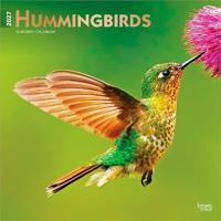 Hummingbirds - Kolibris 2027 - 16-Monatskalender
