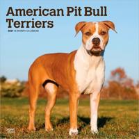 American Pit Bull Terriers 2027 - 16-Monatskalender