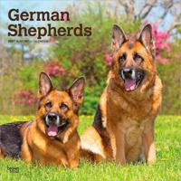 German Shepherds - Deutsche Schäferhunde 2027 - 16-Monatskalender