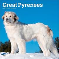 Great Pyrenees - Pyrenäenberghund 2027 - 16-Monatskalender