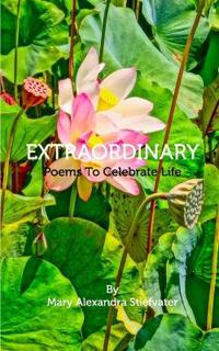 Extraordinary