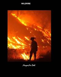 Bokomslag for "Wildfire"