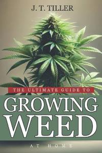 The Ultimate Guide To Growing Weed At Home