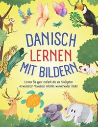 Danisch lernen mit Bildern
