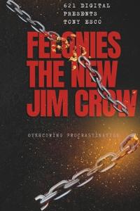 Felonies The New Jim Crow