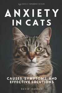 Anxiety in Cats