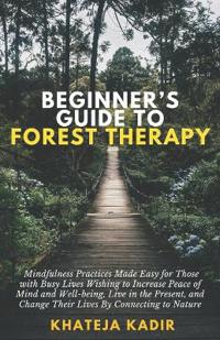 Beginner's Guide to Forest Therapy