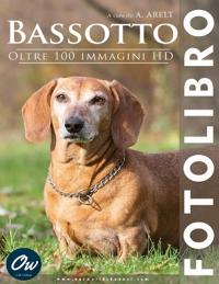 Bassotto