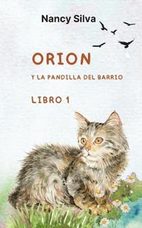 Orión y la pandilla del barrio