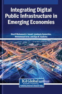 Integrating Digital Public Infrastructure in Emerging Economies