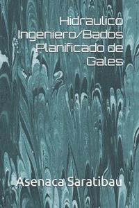 Hidraulico Ingeniero/Bados Planificado de Gales