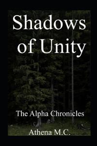 Shadows of Unity