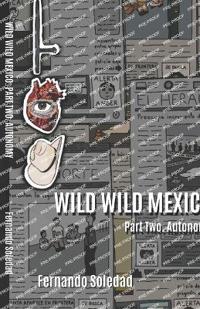 Wild Wild Mexico. Part Two. Autonomy