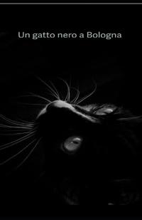 Un gatto nero a Bologna