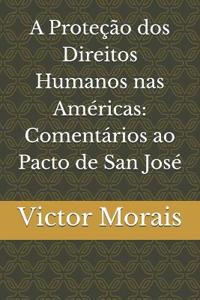 A Proteção dos Direitos Humanos nas Américas
