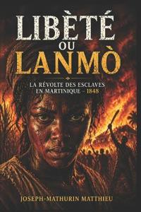 La Martinique En Ebullition