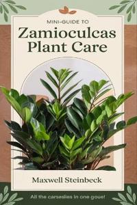 A mini-guide for caring for Zamioculcas plants