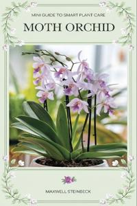 Mini Guide to Smart Plant Care Orchid plants