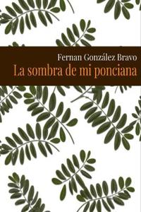 La sombra de mi ponciana