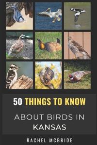 50 Things to Know About Birds in Kansas