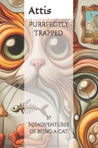 Purrfectly Trapped