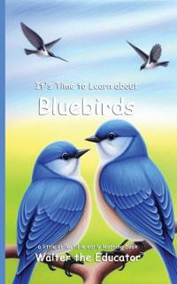 It's Time to Learn about Bluebirds