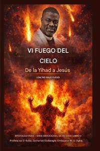 Vi fuego del cielo